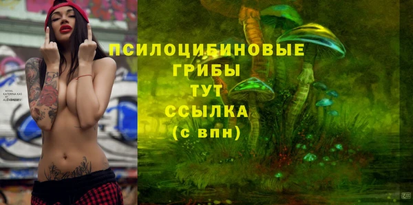 стафф Абаза