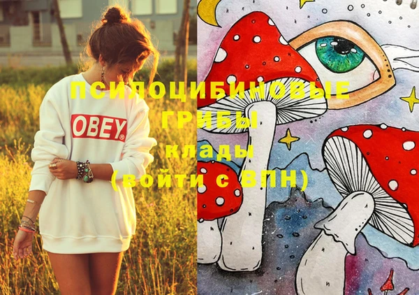 ECSTASY Абинск