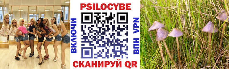 Псилоцибиновые грибы Magic Shrooms  KRAKEN ссылка  Отрадный  что такое  